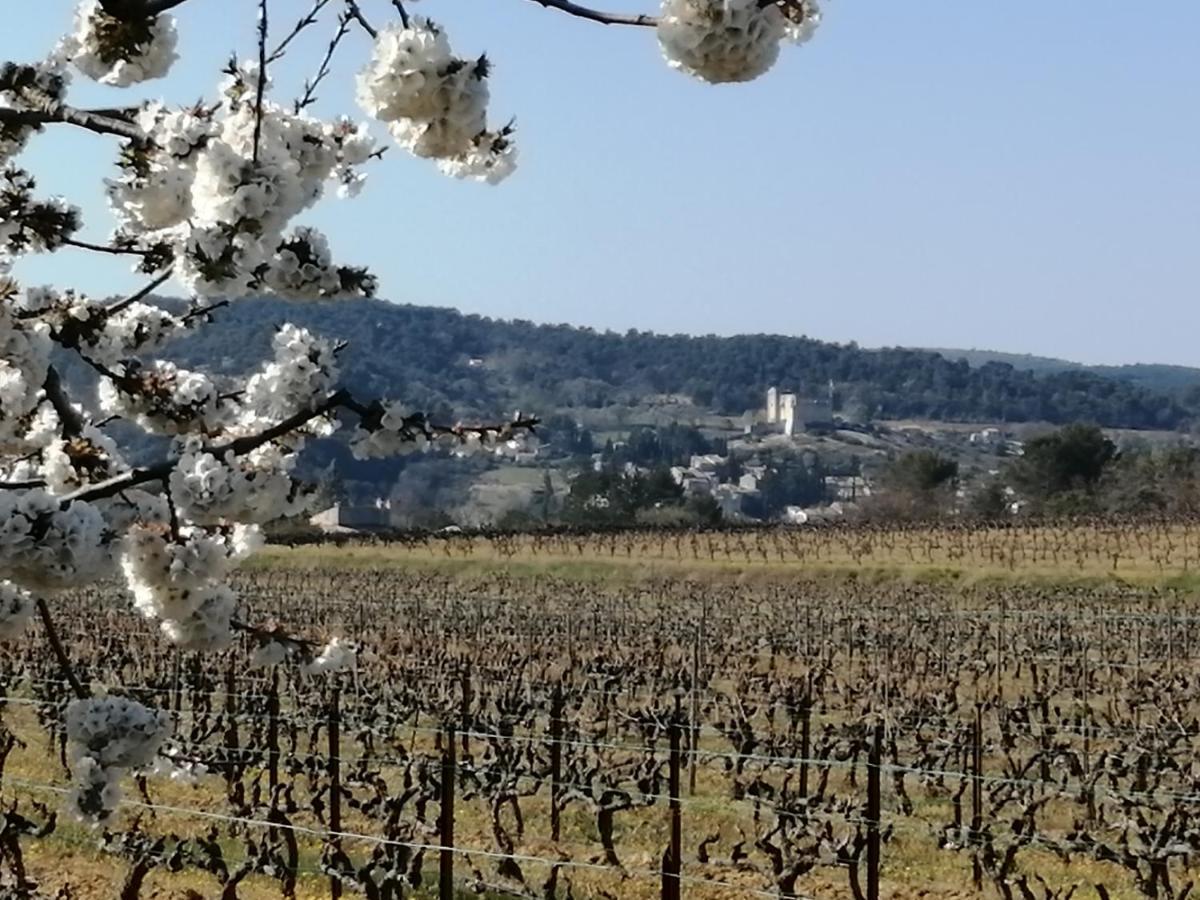 Au Villadior - Vaison La Romaine 外观 照片